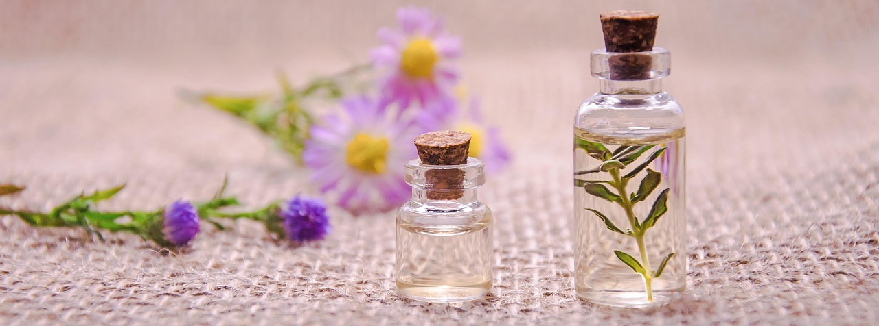 Cilantro Essential Oil in the Diffuser: Fresh Green Blends