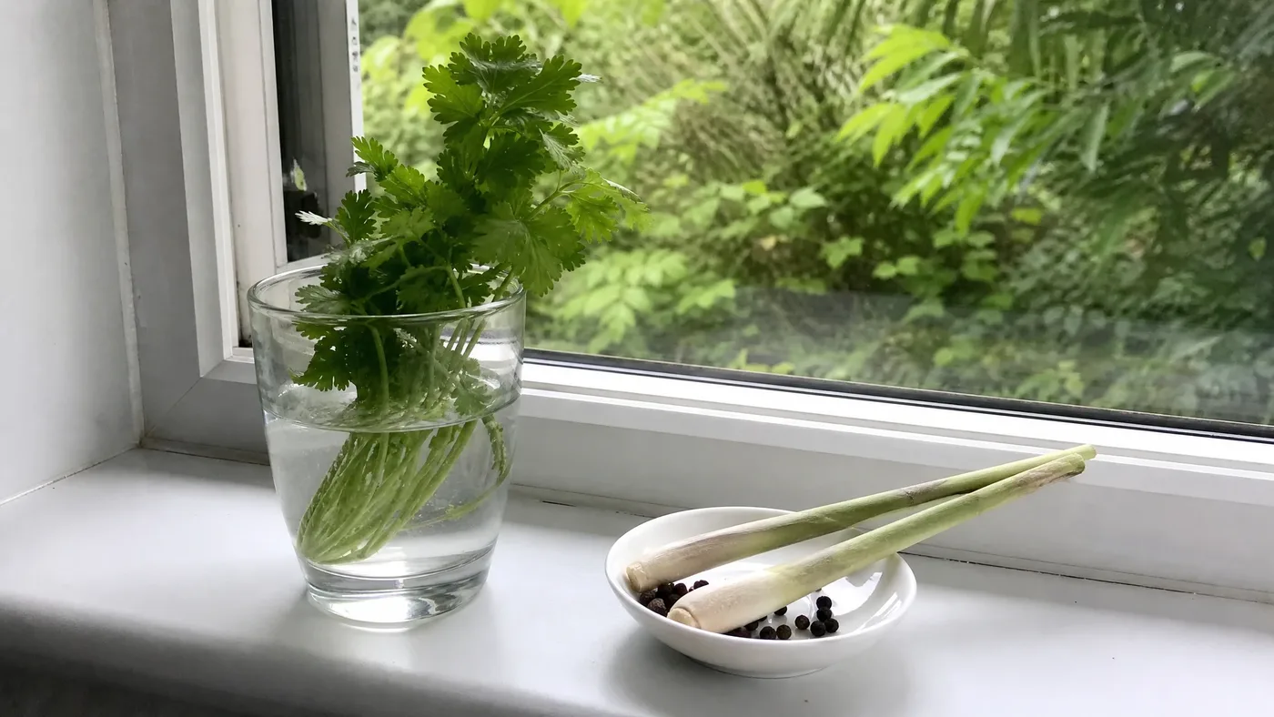 Cilantro Essential Oil Substitutes: Match the Job